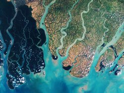 20211002180041 Sundarban National Park from outerspace